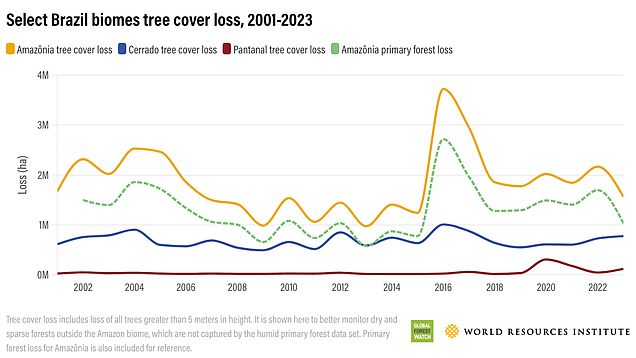 Nach wie vor ist Brasilien mit 1.140.000 Hektar Spitzenreiter des Rankings der Länder mit dem größten Waldflächenverlust. 