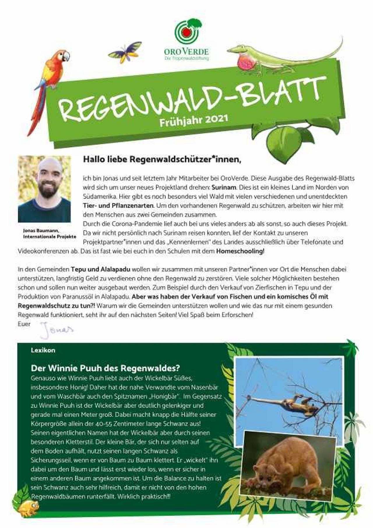 Regenwald Blatt Frühjahr 2021 für Kids