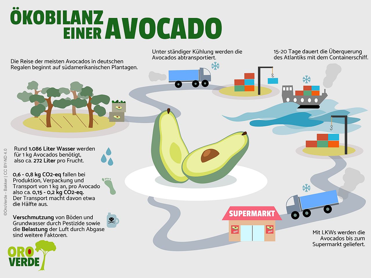 Ökobilanz einer Avocado © OroVerde - E. Bakker