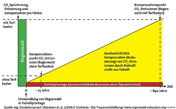 Kohlenstoffgrafik Palmöl für Biodiesel© OroVerde