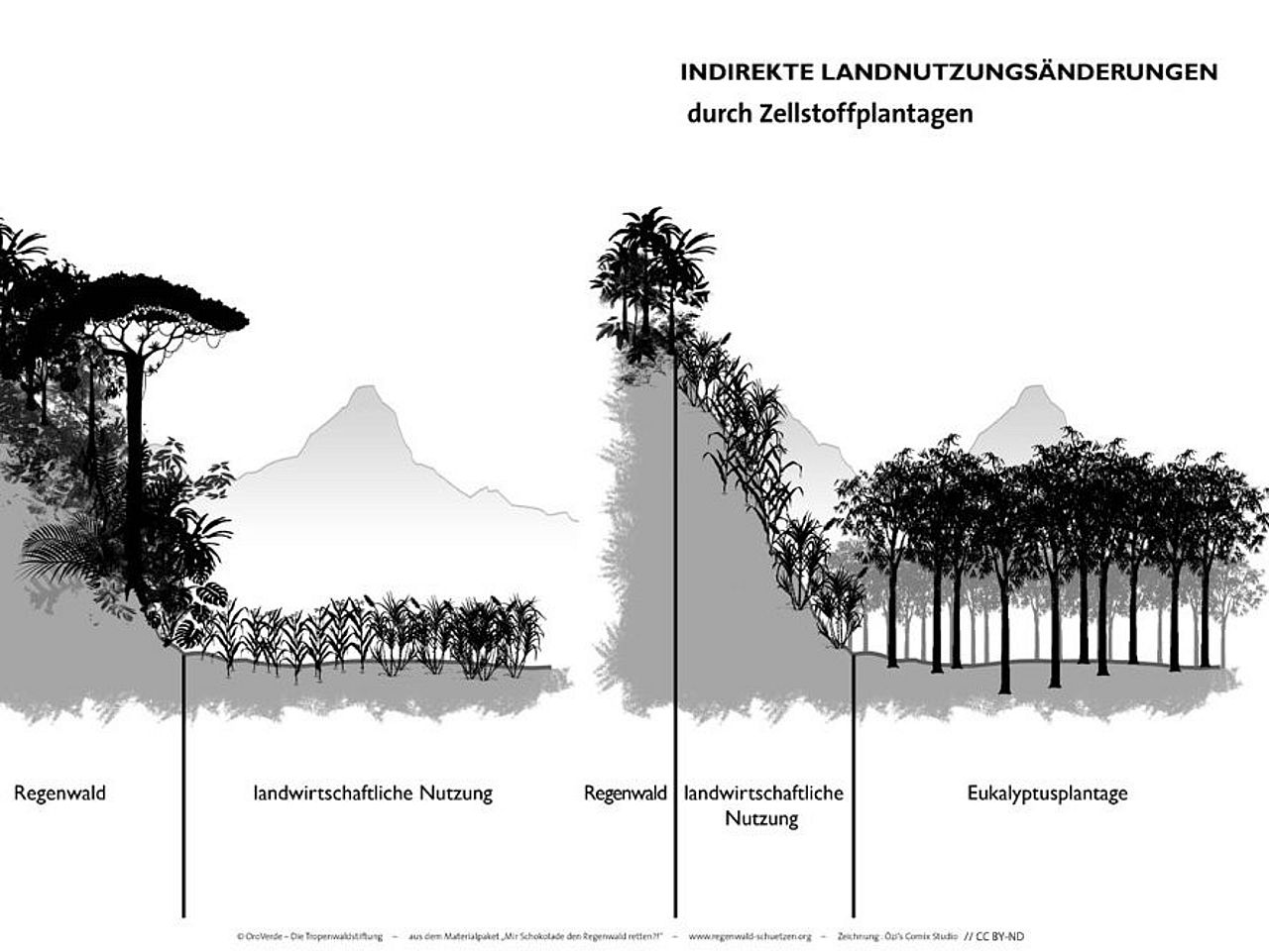 Grafik: indirekte Landnutzungsänderung mittels Abholzung von Regenwald für Fasern für Papier