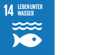 Leben unter Wasser ©UN