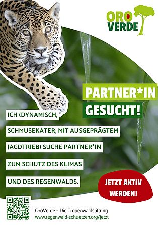 Freianzeige: Den Lebensraum des Jaguars beschützen