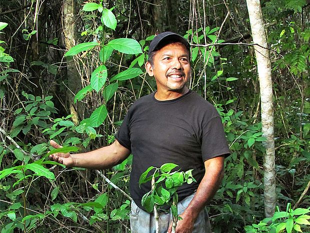 Mann steht im Wald