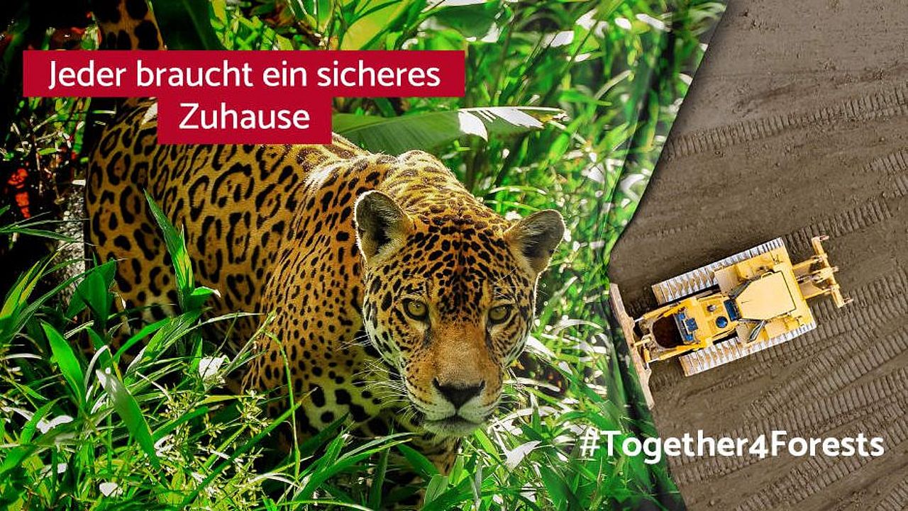 Erfolgreich abgeschlossene Kampagne #Together4Forests. ©WWF