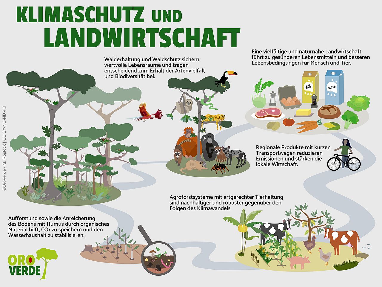 Klimaschutz und Landwirtschaft ©OroVerde – M. Rostock Landwirtschaft nachhaltiger gestalten.
