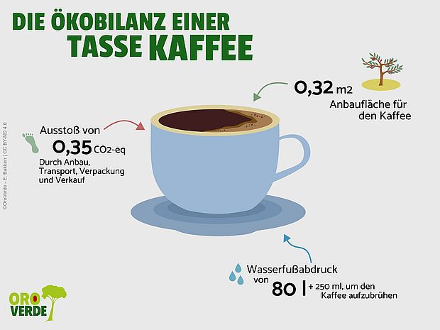 Ökobilanz einer Tasse Kaffee. ©OroVerde - E. Bakker