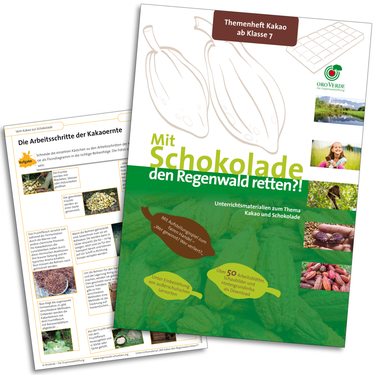 Collage Unterrichtsmaterial: Mit Schokolade den Regenwald retten