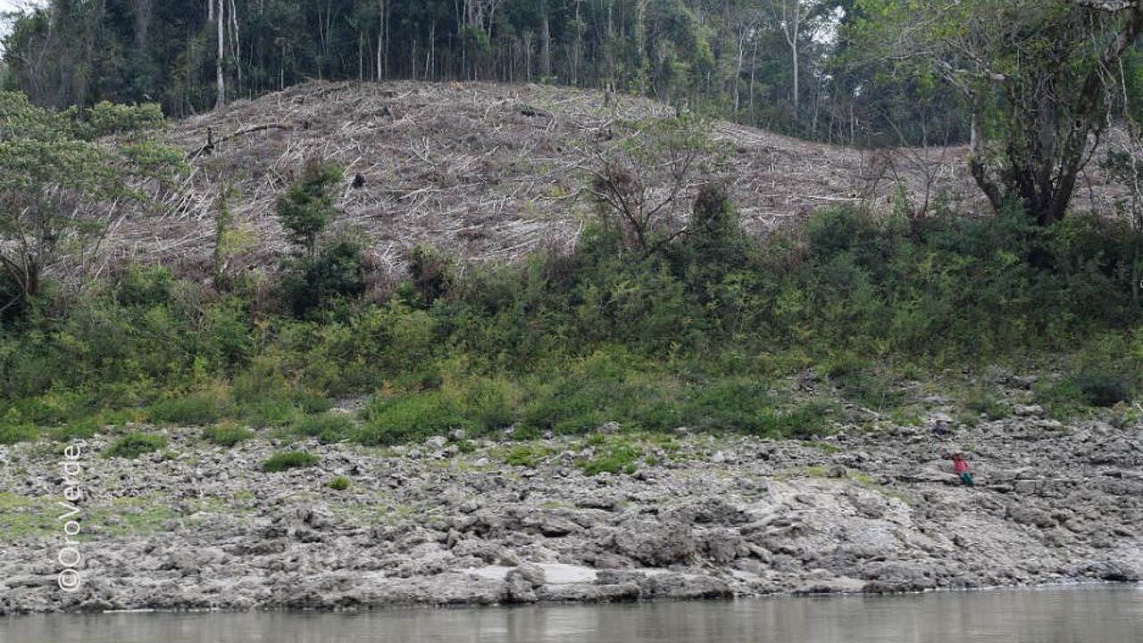 Wassermangel bringt Wälder in Gefahr, verschwindet der Wald, wird auch Wasser knapper: ein Teufelskreis. © OroVerde