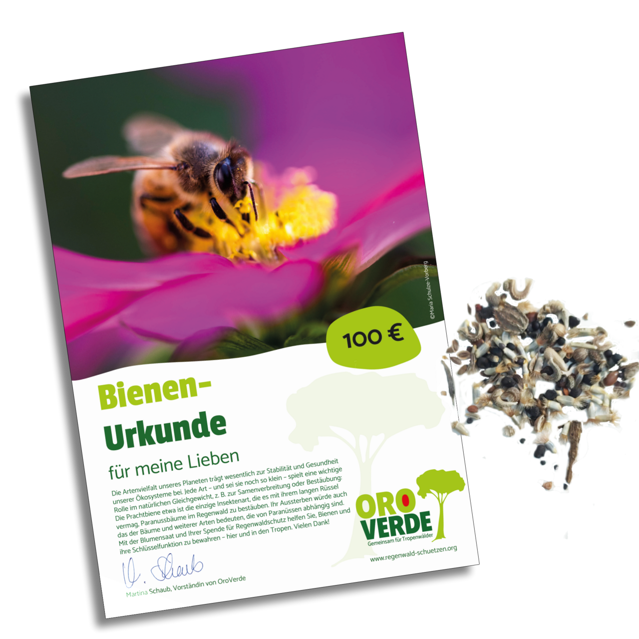 Bienen-Urkunde für Regenwaldschutz – jetzt betsellen!