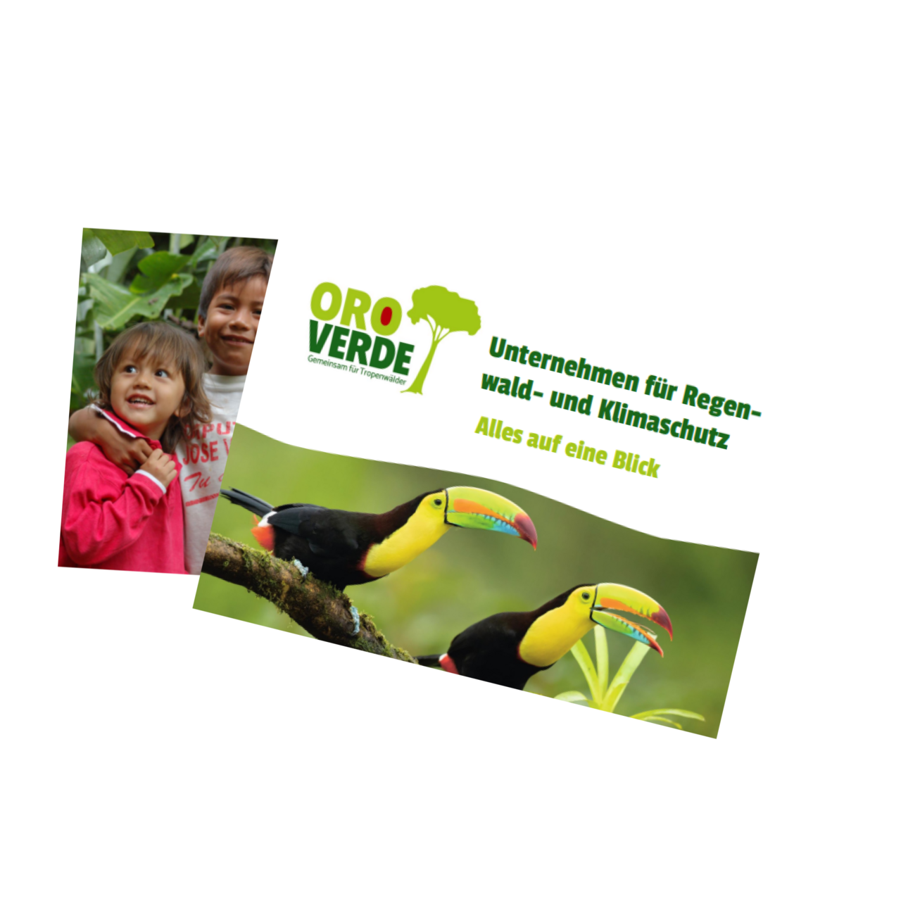 Präsentation zu Unternehmen im Regenwald- und Umweltschutz ©OroVerde Präsentation zu Unternehmen im Regenwald- und Umweltschutz ©OroVerde