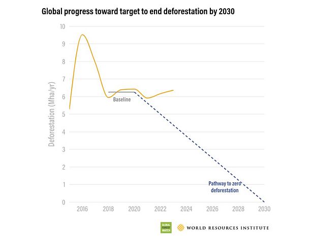 Um das Nullentwaldungsziel in 2030 erreichen zu können, müsste die Weltgemeinschaft deutliche Anstrengungen unternehmen und zusammenarbeiten. Das Zeitfenster wird immer kürzer, und der Weg hin zum versprochenen Ziel dadurch immer steiler. 