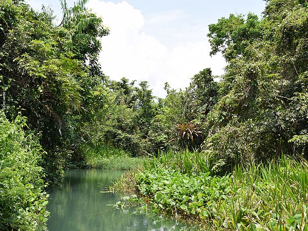 Fluss durch eine Regenwaldlandschaft in Guatemala ©OroVerde