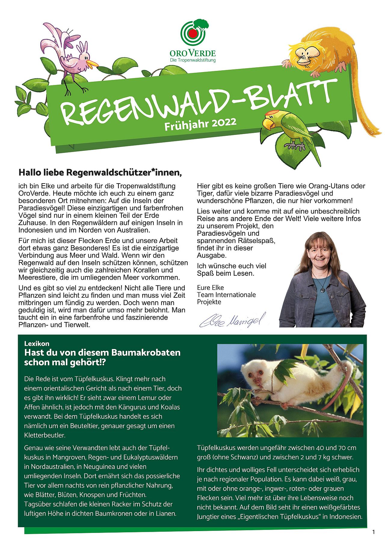 Regenwaldblatt Frühjahr 2022