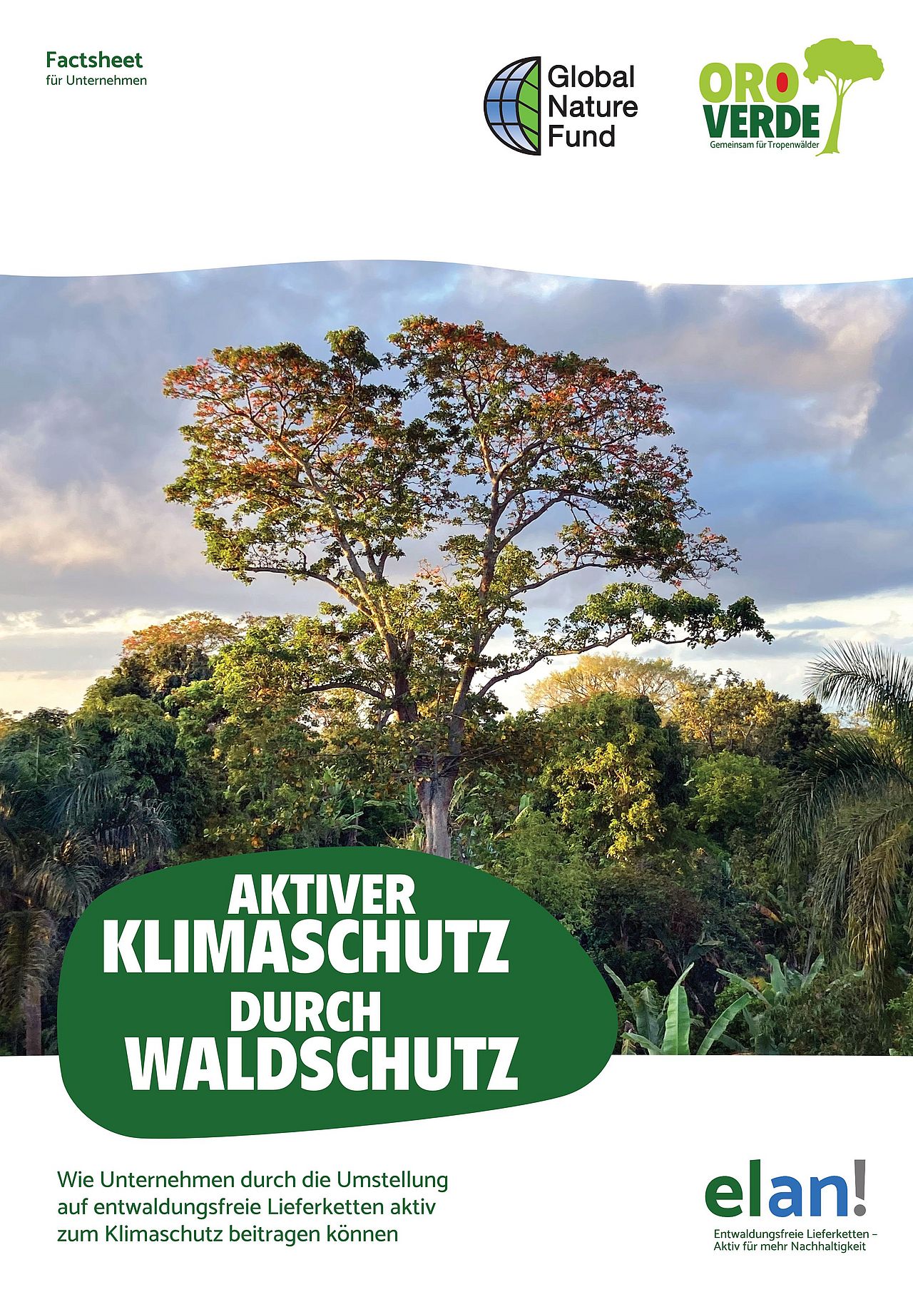 Broschüre Aktiver Klimaschutz durch Waldschutz