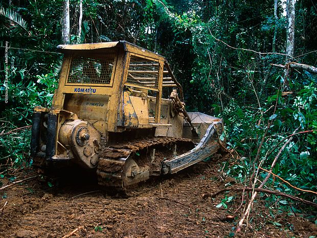 Schwerer Maschinen Einsatz für Rodungen im Regenwald ©WildscreenExchange - M. Harvey