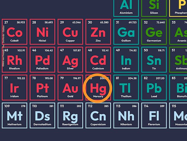 Quecksilber im Periodensystem - das giftige Schwermetall wird beim Goldabbau verwendet. 