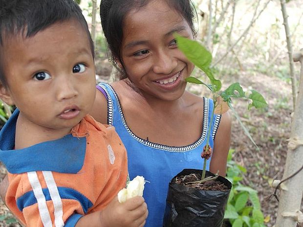 Fair gehandelter Kakao fördert Bildung und Gesundheit der anbauenden Familien. © OroVerde