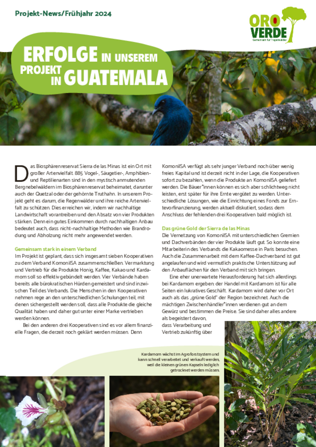 OroVerde Fortschrittsbericht Guatemala 2024