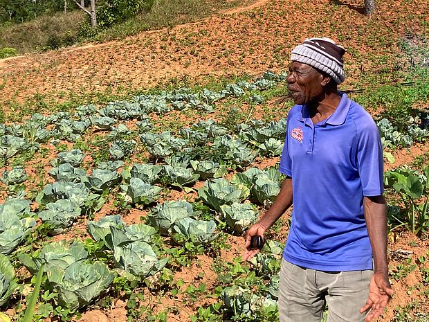 Dieudonné Silfrard freut sich auf die bevorstehende Kohlernte, die nicht nur seine Familie ernährt, sondern auch zusätzliches Einkommen in unsicheren Zeiten bringt.