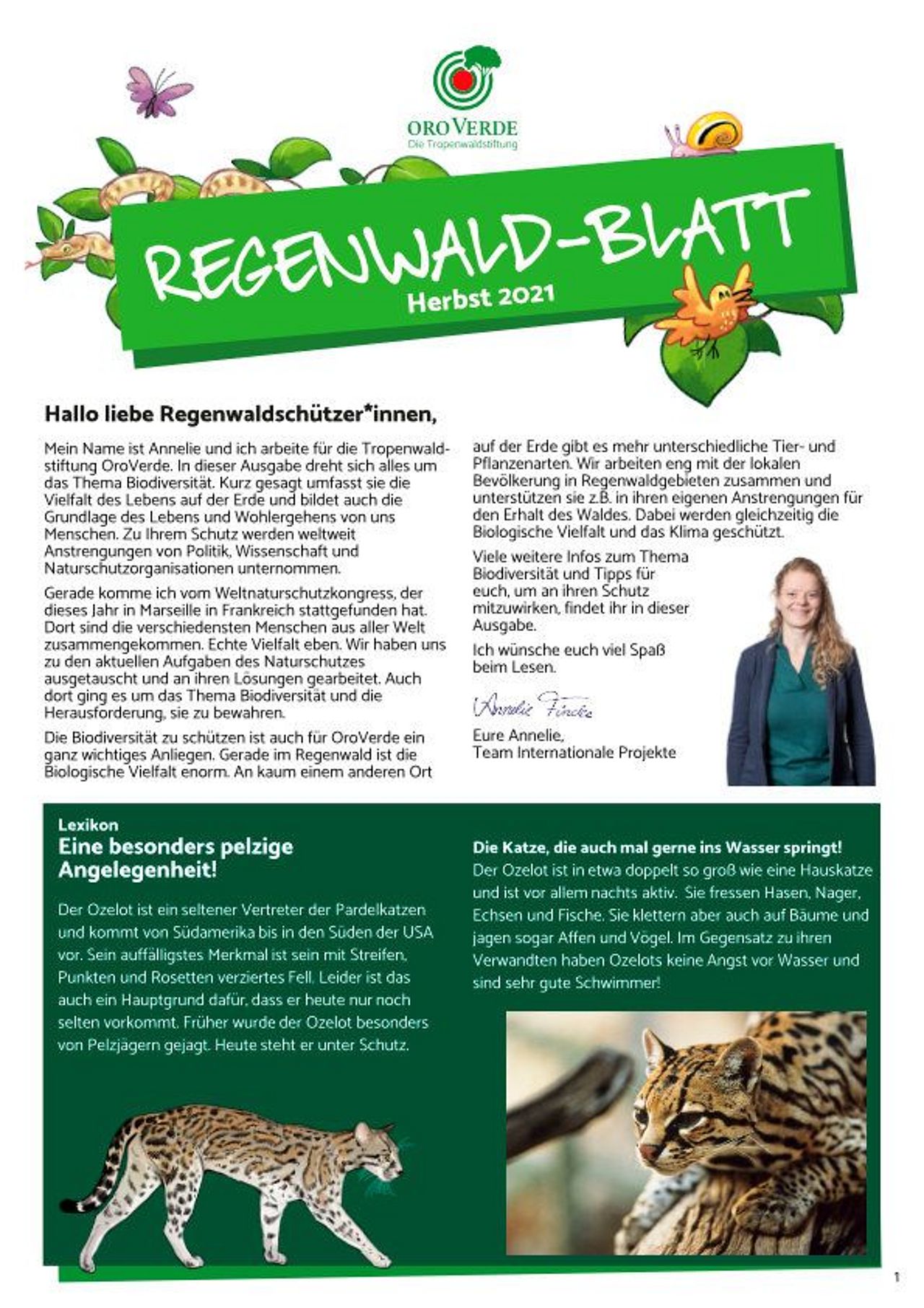 Regenwaldblatt Herbst 2021