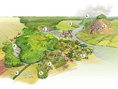 Wo ergibt Bäume pflanzen Sinn? OroVerde - die Tropenwaldstiftung zeigt acht Wege, wie in Tropenwald-Regionen effektive Waldwiederaufbau betrieben werden kann.