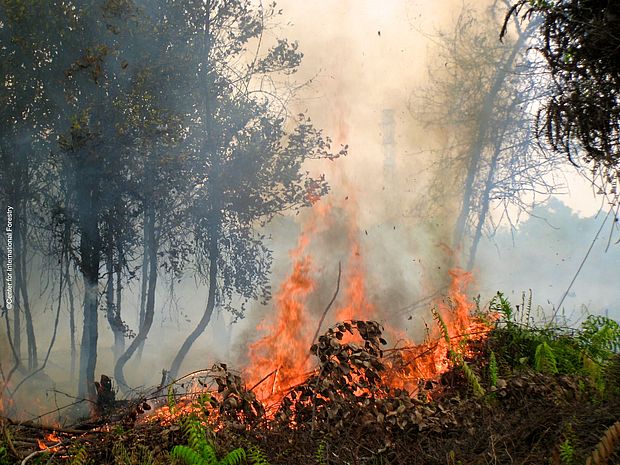 Ein Waldbrand in Indonesien ©Center for International Forestry Research