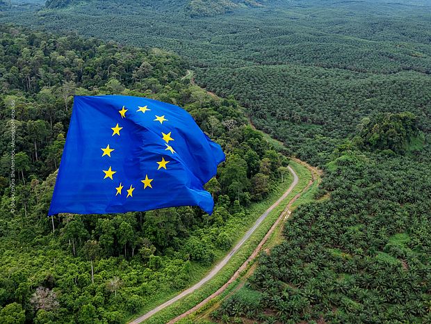 Europäische Flagge weht im Tropenwald ©iStock/cnOra Shutterstock: AlexandrosMichailidis