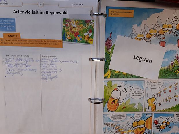 Komplexe Regenwald-Themen durch Comics verständlich machen © OroVerde