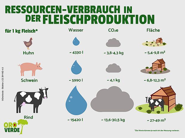 Der Ressourcenverbrauch in der Fleischproduktion für ein Kilogramm Fleisch vom Huhn, Schwein und der Kuh als Schaubild.