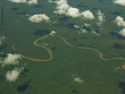 Intakter Regenwald Suriname ©OroVerde - J. Baumann