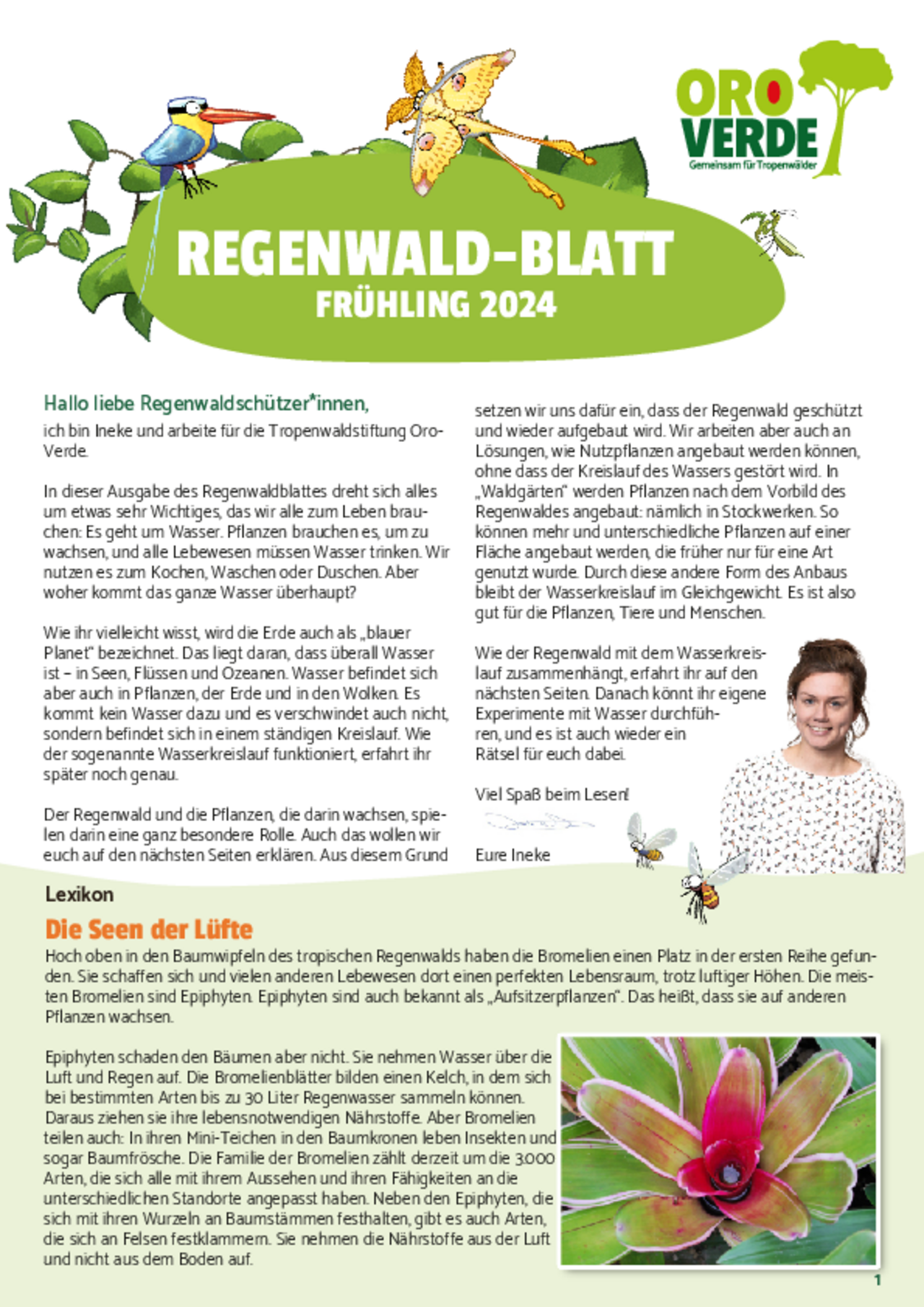 Regenwaldblatt Frühjahr 2023