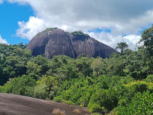 Einzigartiger Regenwald in Suriname