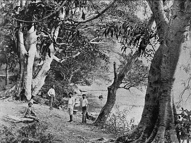 Ufer des Amatitlán-Sees im Jahr 1897©Alberto G. Valdeavellano/ Wikimedia Commons