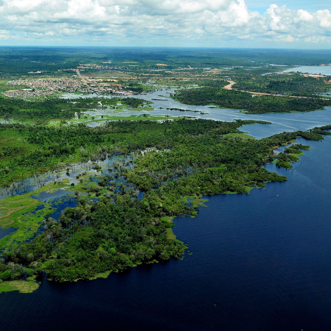 Der Amazonas aus der Vogelperspektive