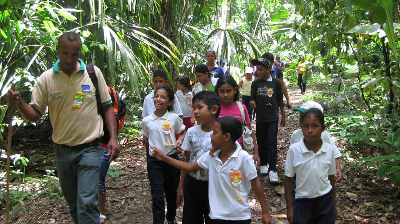Bildung für nachhaltige Entwicklung im Regenwald