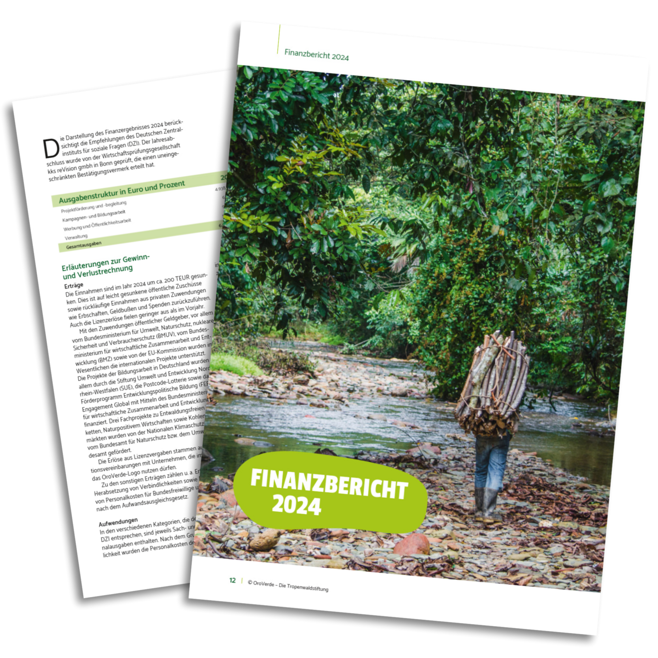 Finanzbericht OroVerde 2024 als PDF-Download Finanzbericht OroVerde 2024