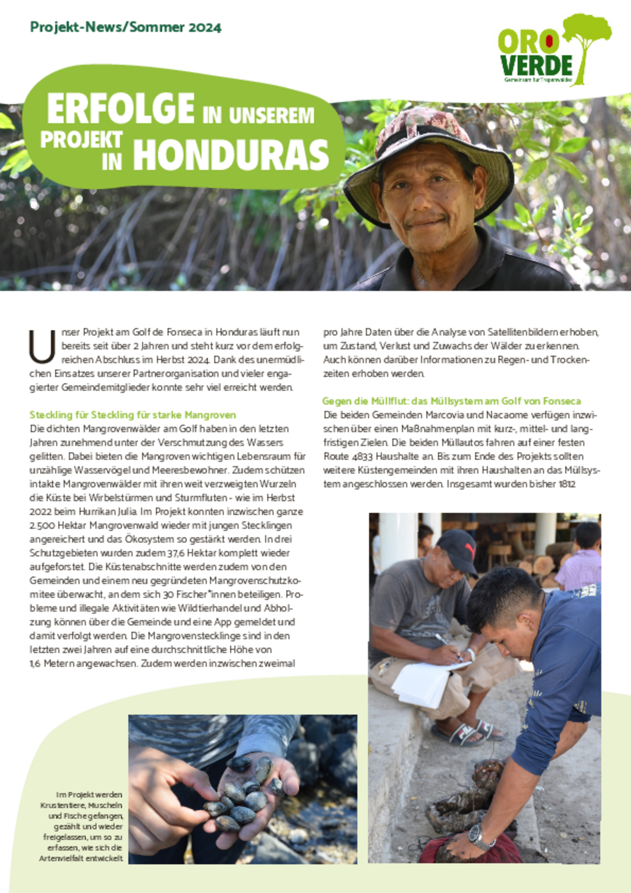 OroVerde Fortschrittsbericht Honduras 2024