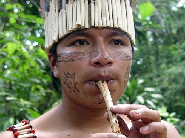 Junger Mann aus Sarayaku spielt ein Instrument