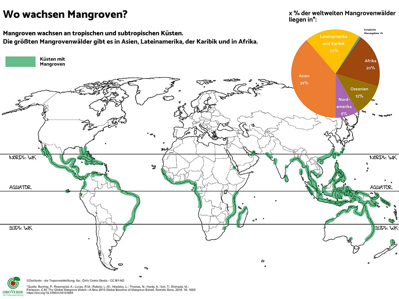Die Mangroven Karte zeigt, dass Mangroven rund um den Äquator an den tropischen und subtropischen Küsten wachsen. Der größte Mangrovenbestand liegt in Asien, Afrika und Lateinamerika & Karibik. ©OroVerde nach Giri et al. (2011) / Illustration: Özi´s Comix Studio