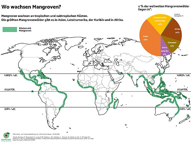 Die Mangroven Karte zeigt, dass Mangroven rund um den Äquator an den tropischen und subtropischen Küsten wachsen. Der größte Mangrovenbestand liegt in Asien, Afrika und Lateinamerika & Karibik. ©OroVerde nach Giri et al. (2011) / Illustration: Özi´s Comix Studio