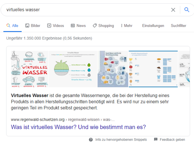 Sreeenshot Google Sucherergebnisse "Virtuelles Wasser"