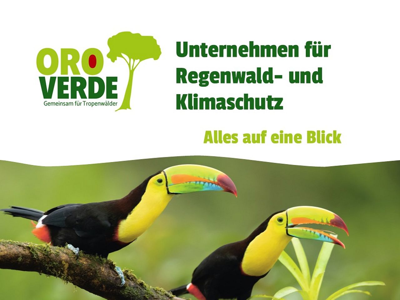 Präsentation: unternehmen für den Regenwald- und Klima –Alles auf einen Blickschutz