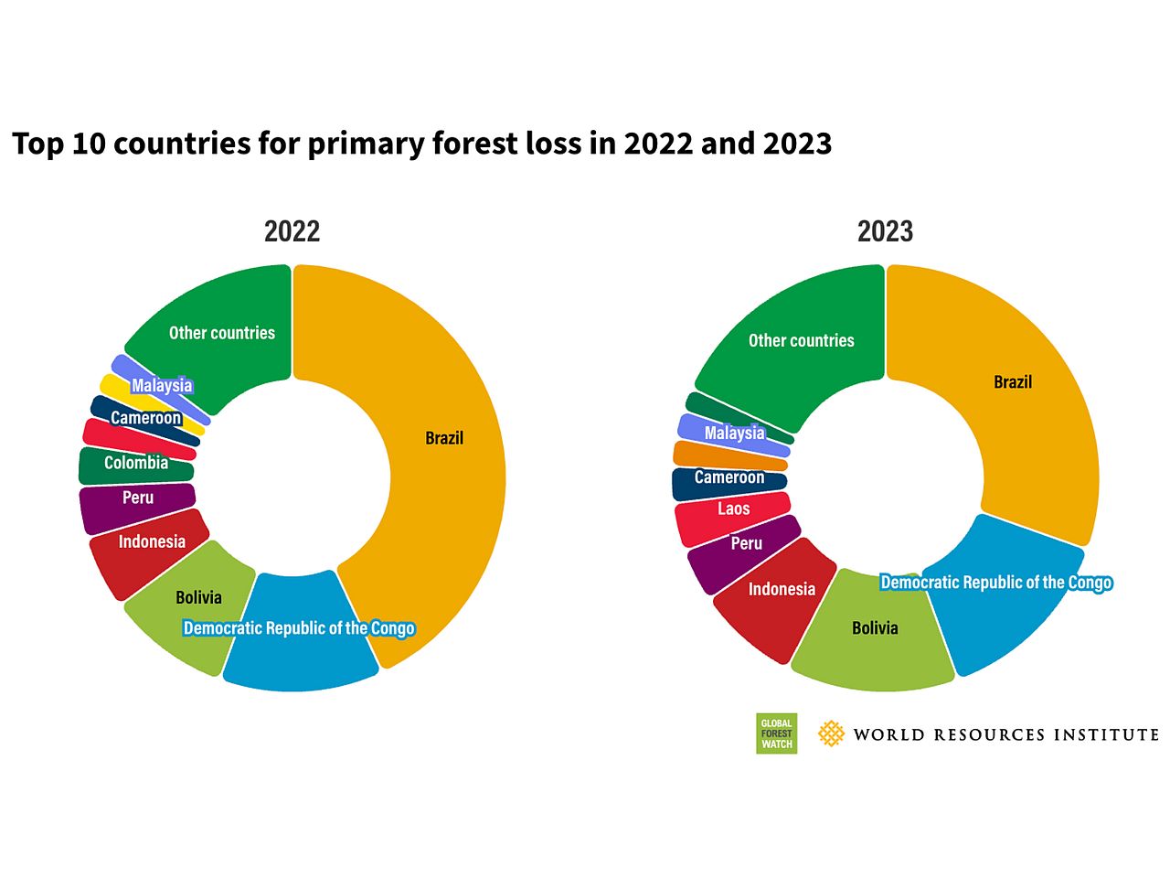 Alarmierend hat die Analyse gezeigt: Auch 2023 haben wir 3,7 Millionen Hektar wertvollen tropischen Primärwald verloren, nahezu 10 Fußballfelder pro Minute. 