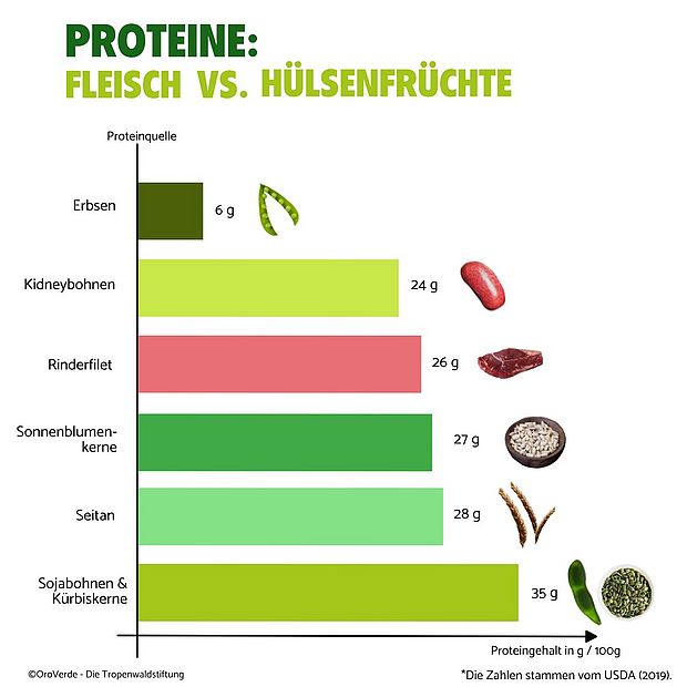 Grafik zu Proteinanteilen von Fleisch und Hülsenfrüchten