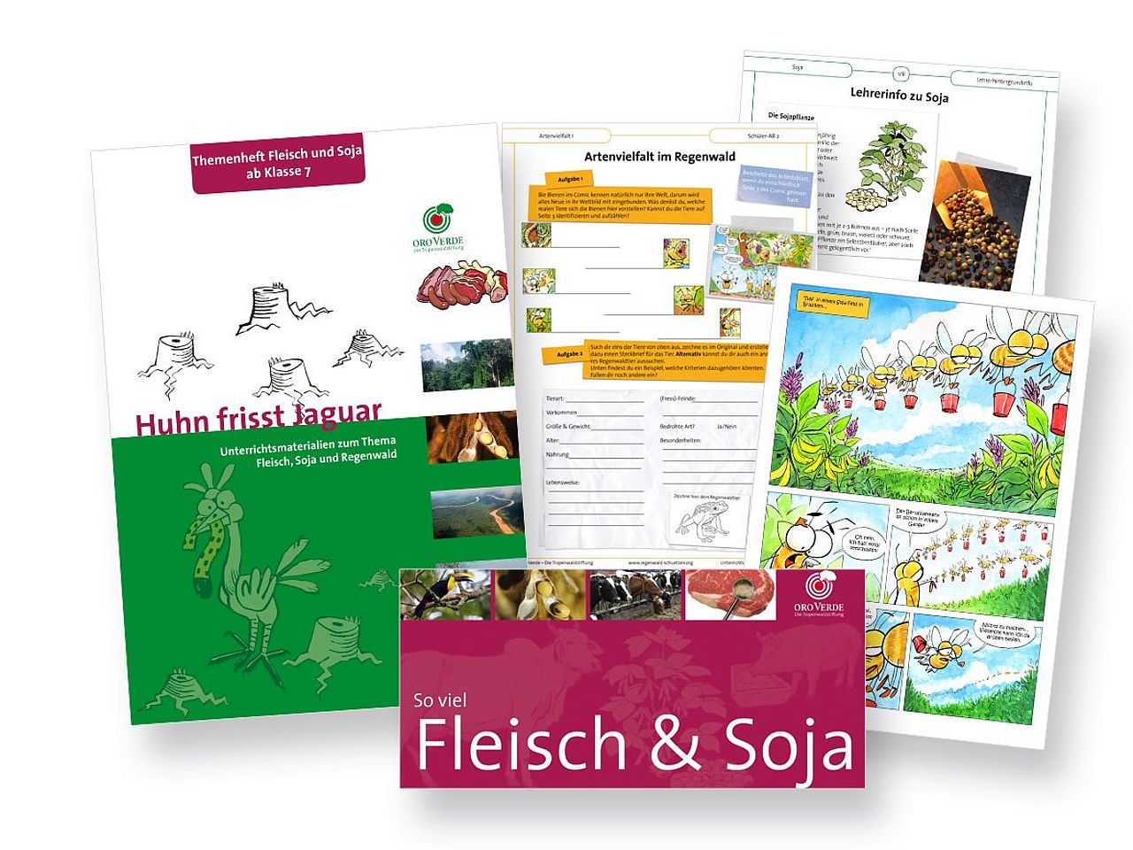 Unterrichtsmaterial Thema Fleisch und Soja