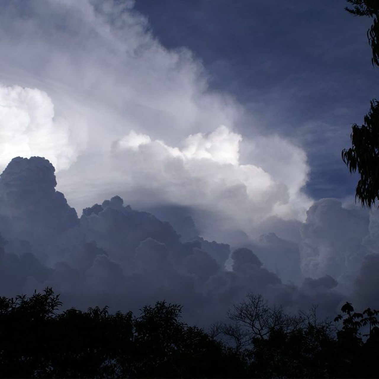 Regenwolken über dem Tropenwald