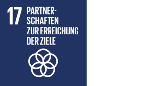 Partnerschaften zur Erreichung der Ziele