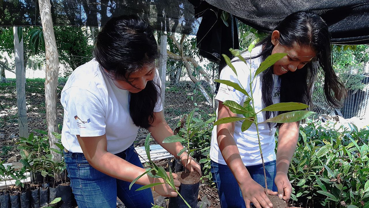 Mädchen kümmern sich um Baumsetzlinge in der Baumschule