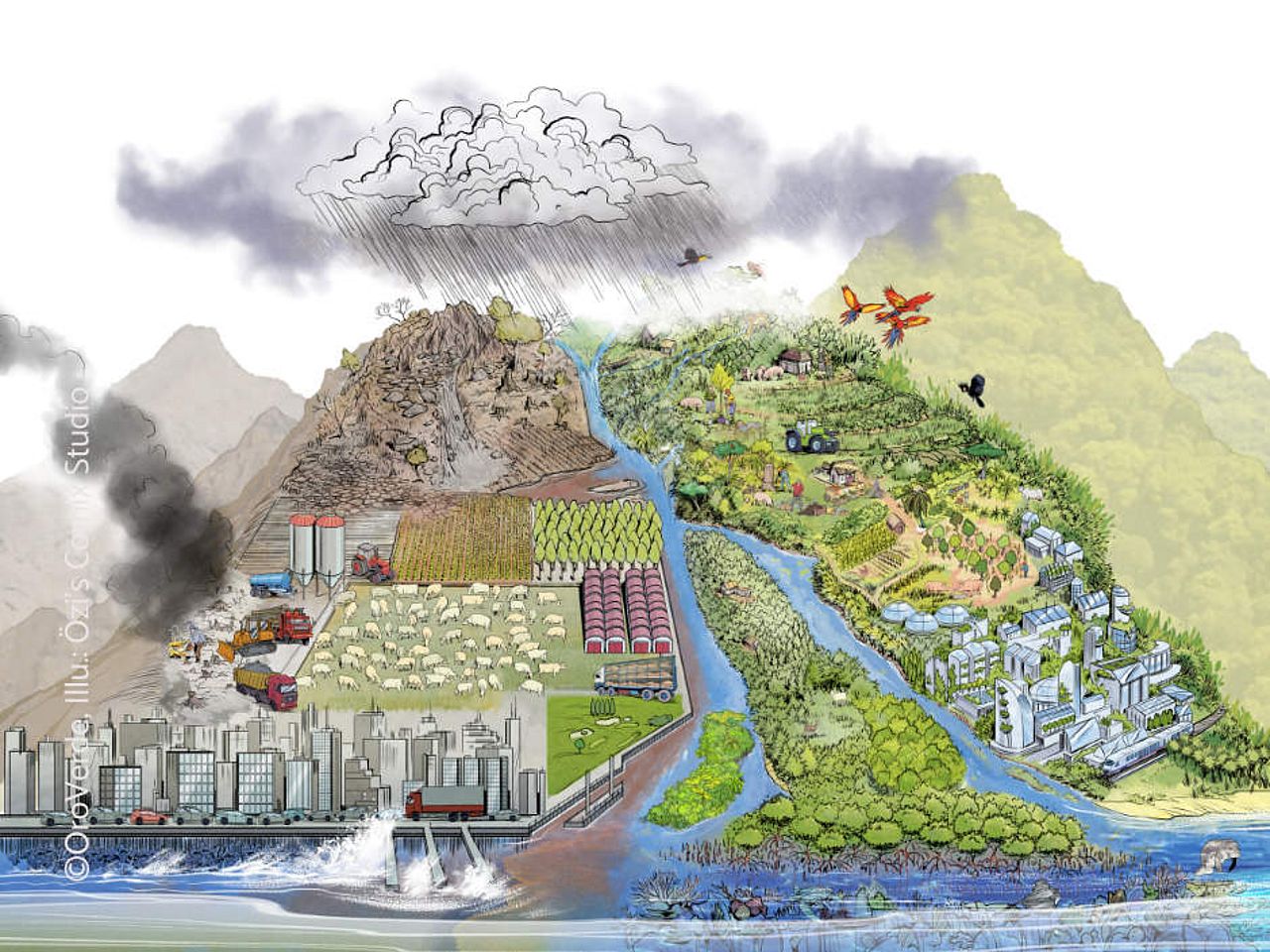 Ökosystembasierrte Anpassungsmaßnahmen sind Teil von OroVerde-Projekten